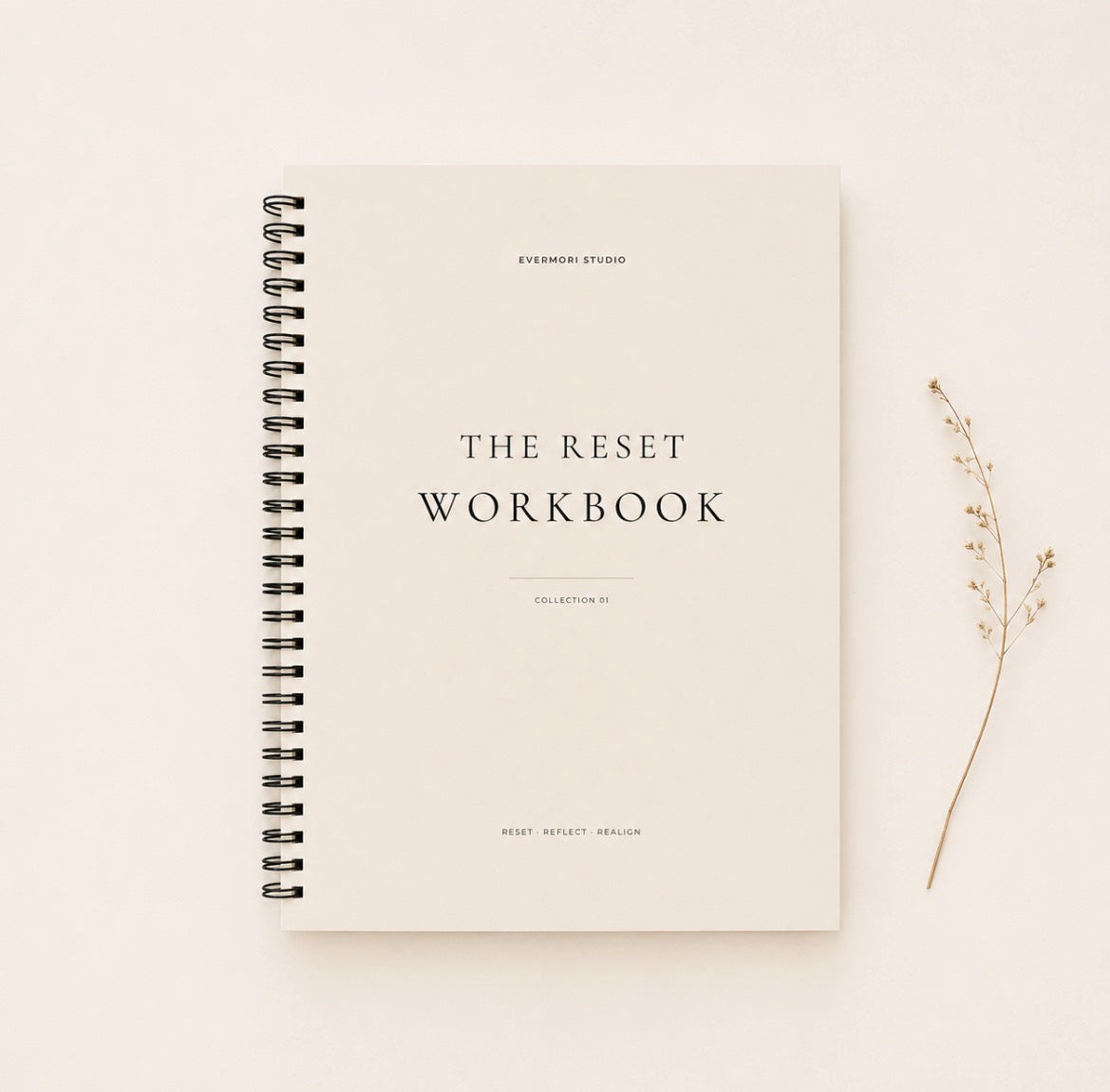 The Reset Workbook